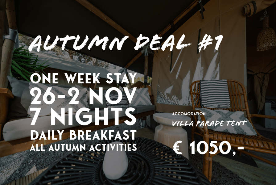 Autumn deal 2
